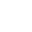 polaris icon