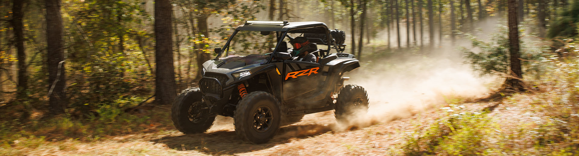 RZR hero